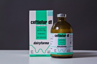 CEFTIOFUR DF 5% X 100 ML