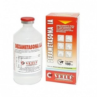 DEXAMETASONA LA X 100 ML