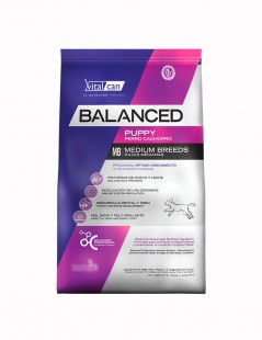 BALANCED PERRO CACHORRO RAZA MEDIANA X 3 KG