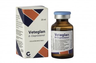 VETALGINA X 100 ML