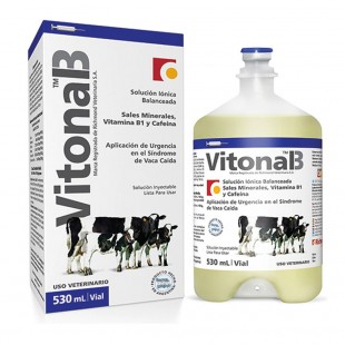 VITONAL B X 530 ML