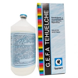 GEFA TEHUELCHE X 500 ML